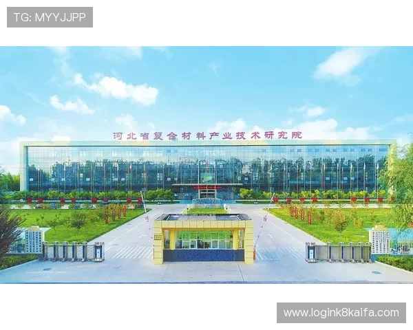 深入解析K8凯发国际站的核心优势与未来发展规划，助力企业快速布局国际市场